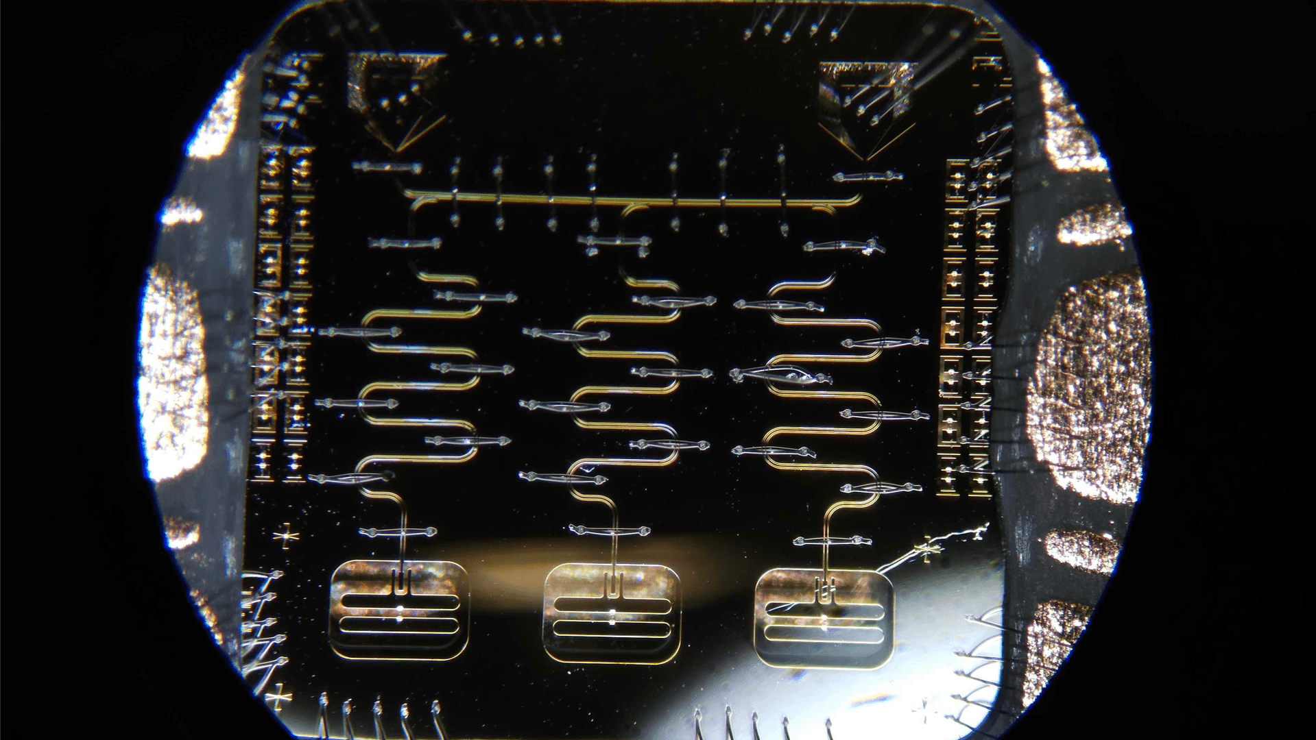 A dark reflective chip with gold lines on it and small wires coming from all sides. The chip is dominated by three squiggly lines that each lead down to rectangles that contain small bright dots in their center. 